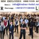New employees needed abroad