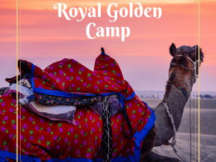 Jaisalmer Desert Camp- The Golden Camp